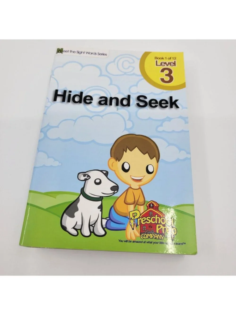 MEET THE SIGHT WORDS Lot of 13 Level 3 Reader Books - BK018